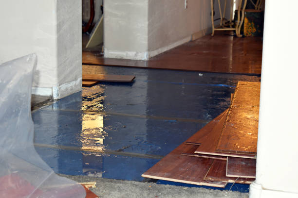 Professional Water Extraction technician working in University Center, MI